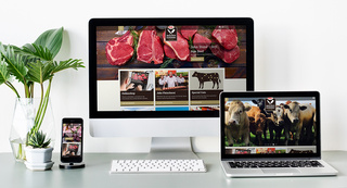 FZ Neumünster responsive Website FZ Neumünster responsive Website