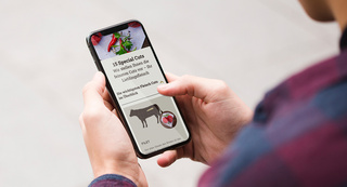 FZ Neumünster Website Mobile Ansicht FZ Neumünster Website Mobile Ansicht