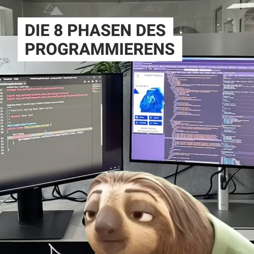 Die 8 Phasen des Programmierens, oder in 3 Worten ausgedrückt: Hoffnung, Verzweiflung, Wunder.✨

#parrotmediait...